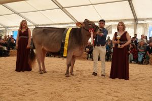 Urner Champion BS TU SG-ET TROYA